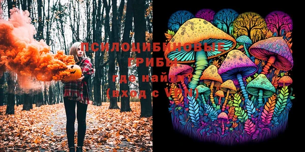 бошки Каменногорск