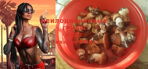 2c-b Карталы